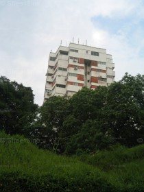 Holland Tower (D10), Apartment #1257202